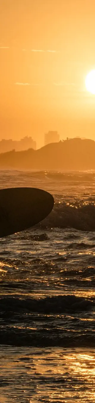 Surfen und Promis spotten